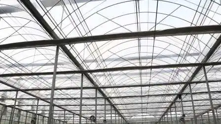 Wachstumszelt für den Indoor-Hydrokultur-Gewächshauspflanzenanbau